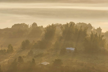 Morning mist covered by trees at Khao Takhian Ngo Phetchabun in Thailand