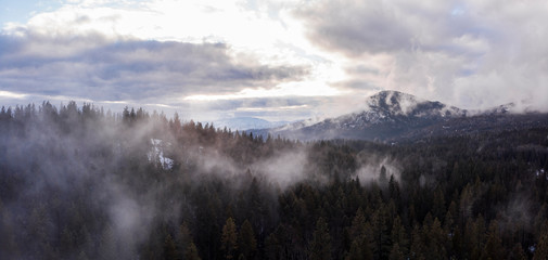 Misty Clouds Over Pine Trees in Idaho Mountains at Sunset