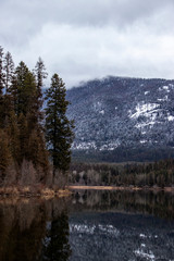 Pine Trees on Peaceful Montana Lake in Winter