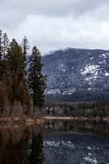 Cercles muraux Forêt dans le brouillard Pine Trees on Peaceful Montana Lake in Winter