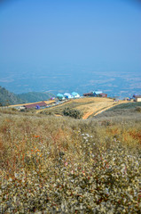 Phu Thap Berk in Thailand,Mountain house in the countryside.