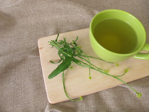 A cup of tea with hedge mustard