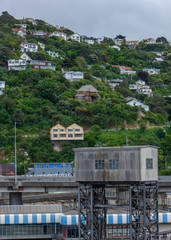 City of Wellington New Zealand. Harbor