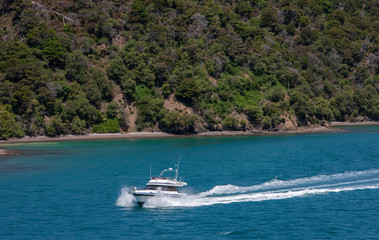 Fototapeta na wymiar Boat. Marlborough Sound South Island New Zealand. Picton.