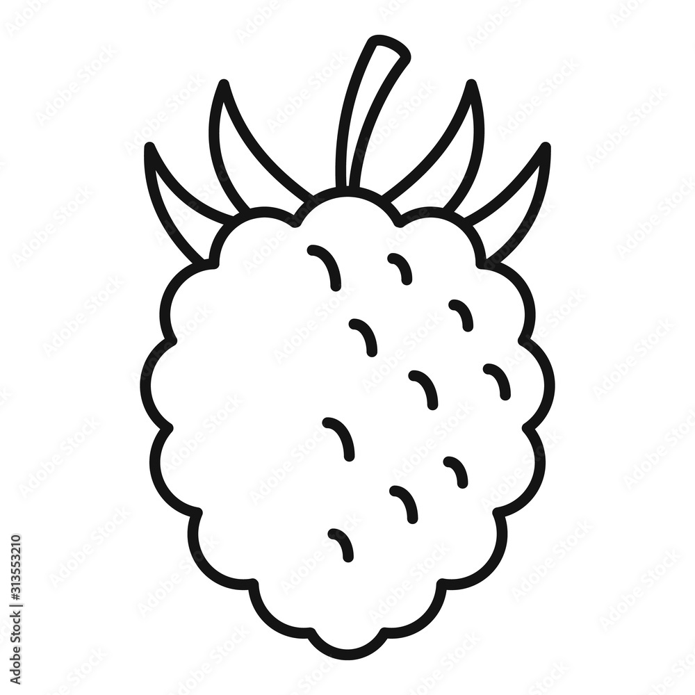 Poster Raspberry fazz icon. Outline raspberry fazz vector icon for web design isolated on white background