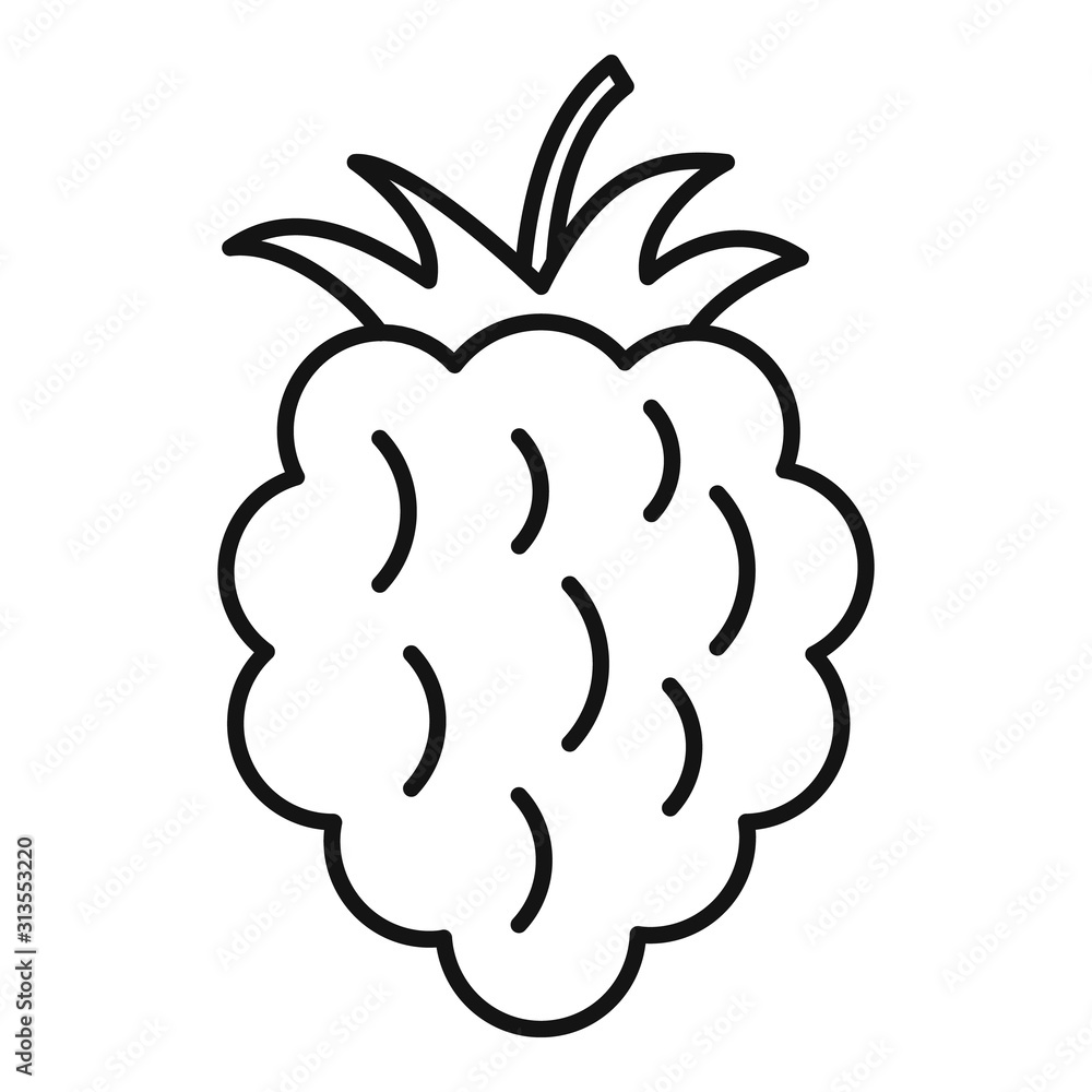 Poster raspberry food icon. outline raspberry food vector icon for web design isolated on white background