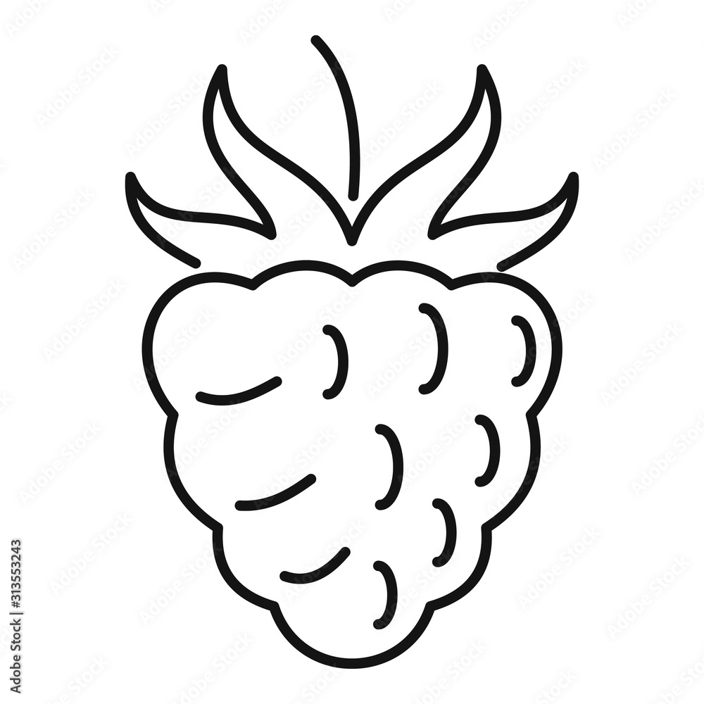 Poster sweet raspberry icon. outline sweet raspberry vector icon for web design isolated on white backgroun