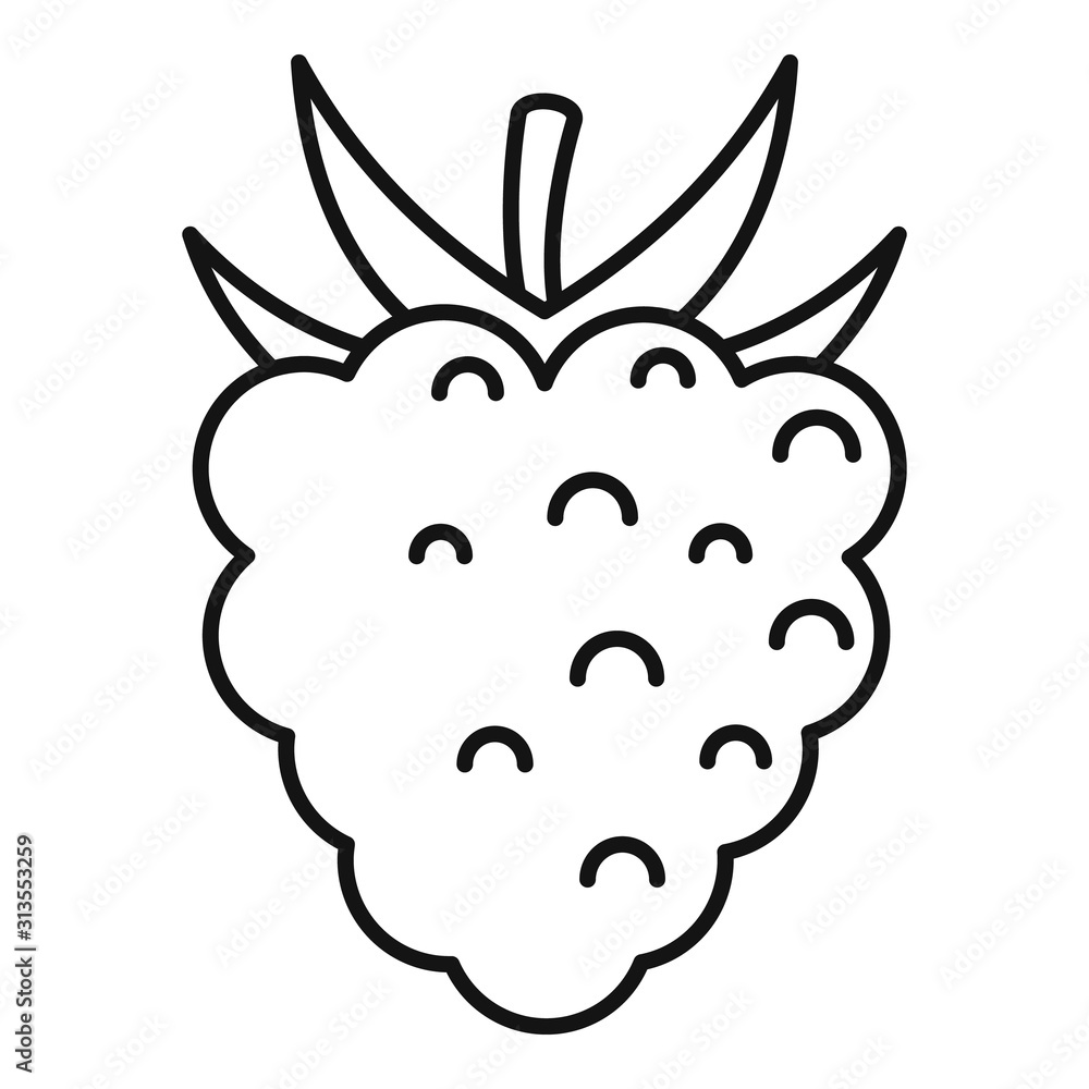 Poster delicious raspberry icon. outline delicious raspberry vector icon for web design isolated on white b