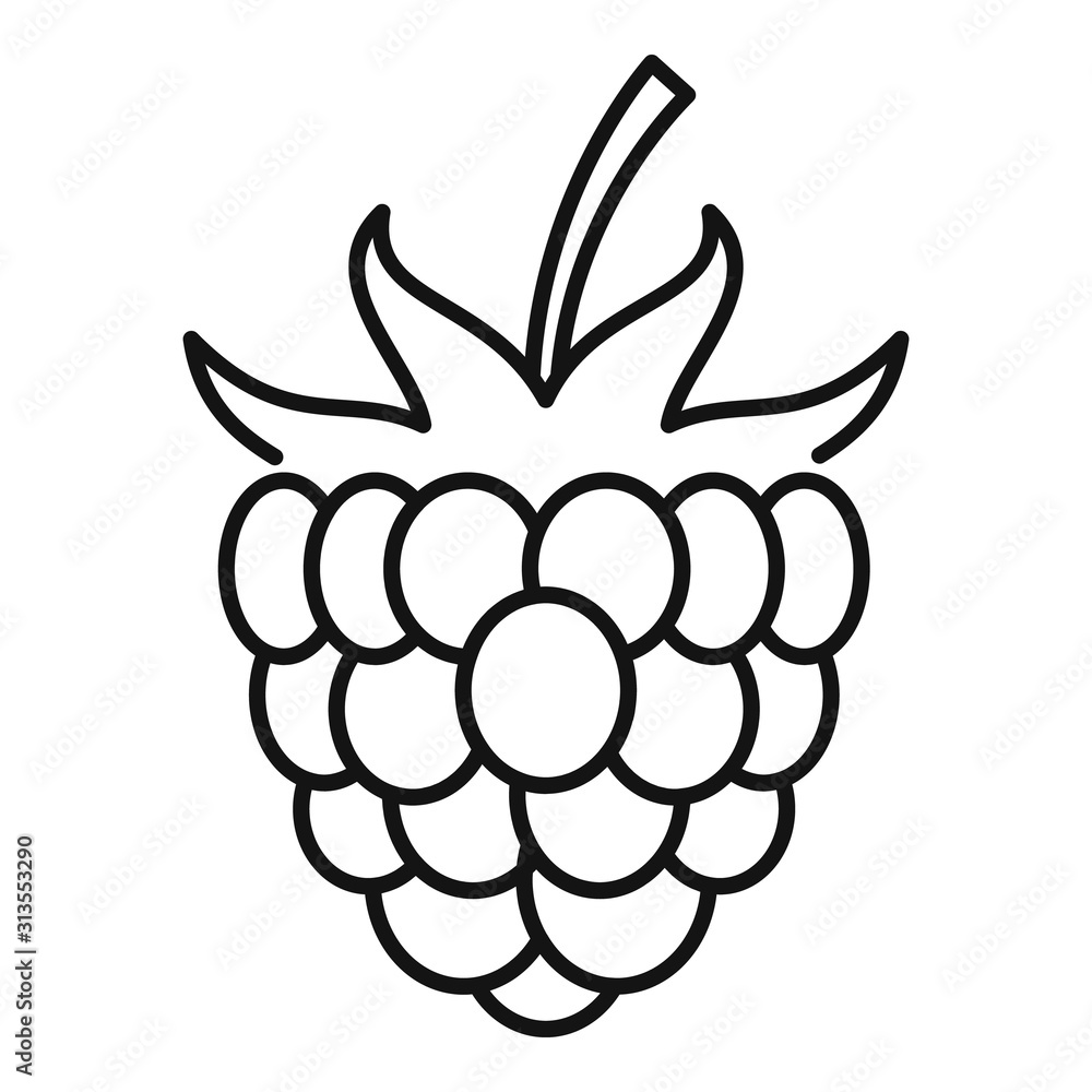 Poster dessert raspberry icon. outline dessert raspberry vector icon for web design isolated on white backg