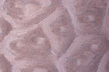 Natural textures, patterns and tree bark colors