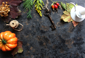 Autumn composition. Dried leaves, pumpkins, flowers, rowan berries on black background. Autumn, fall, halloween, thanksgiving day concept. Flat lay, top view, copy space