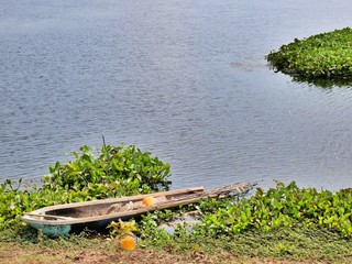 a lake in Kampot, cambodia