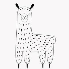 Cute lama hand-drawn in scandinavian style outline. Alpaca coloring page. Nice  peruvian animal. Stock vector illustration isolated on white background.