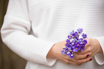 Beautiful blue snowdrops growing in the forest. Hands girls hold a bouquet of primroses. The beginning of spring. Wildflowers. The concept of spring.