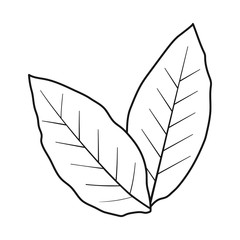 Vector illustration of leaf and green logo. Web element of leaf and tea stock symbol for web.