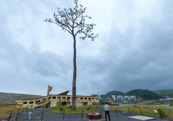 【岩手県陸前高田】高田松原跡地の風景と未来への希望