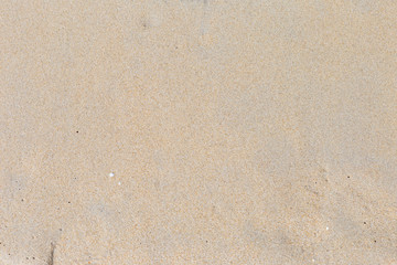 Fototapeta na wymiar Empty brown beach sand background, nature background, outdoor day light, nature texture background