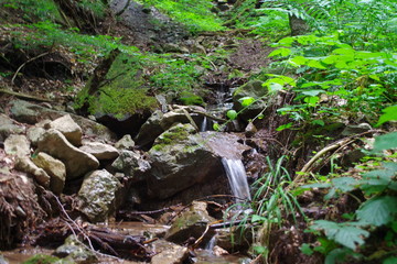 Naklejka na ściany i meble waterfall in forest