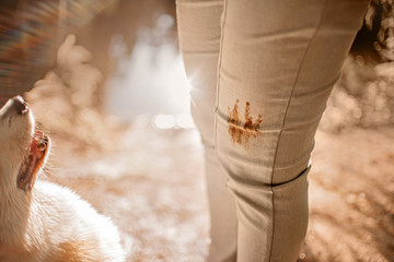 dog owner legs with a paw stain on pants outdoors