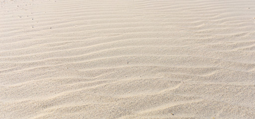 Just sand on the beach on a windy day
