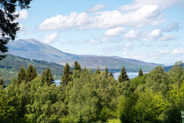 View of Scottish Hills with Trees in Foreground