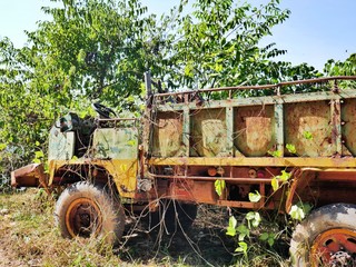 forgotten truck in the jungle