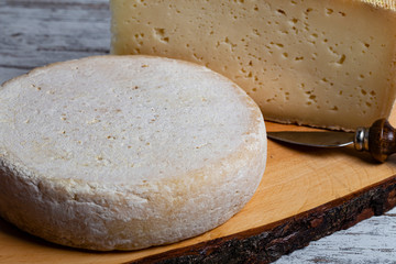 Forme di formaggio su sfondo bianco