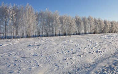 winter rural landscape with snowy trees and blue sky