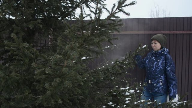 young woman cares for tree in winter yard, spraying spruce with liquid fertilizers or protective chemicals pesticides from insects, stock video footage in real time