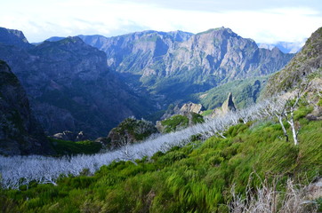 Fototapeta na wymiar Looking down into Nuns Valley, Madeira, Portugal