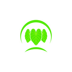 vector logo nature tropical leaf green concept
