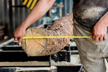 Modern sawmill. Industry sawing boards from logs