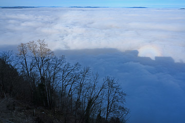 Blick auf Nebelmeer vom Bürgenstock, Nidwalden, Schweiz
