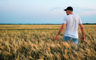 Male farmer standing in a wheat field during sunset. Man Enjoys Nature © es0lex