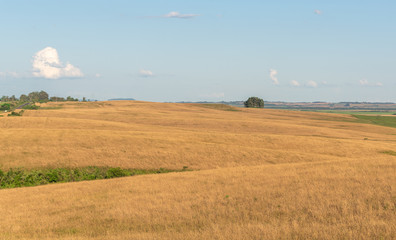 Farms in southern Brazil and the landscape of the Pampa Gaúcho