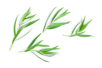 tarragon or estragon isolated on a white background. Artemisia dracunculus. Top view. Flat lay