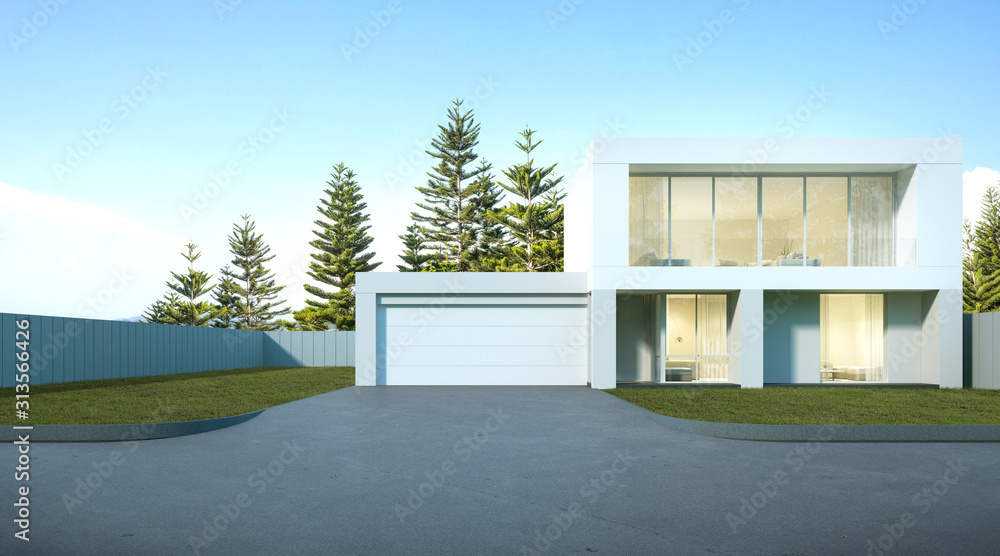 Poster perspective of luxury modern house with lawn grass, garage entrance on pine tree background, idea of