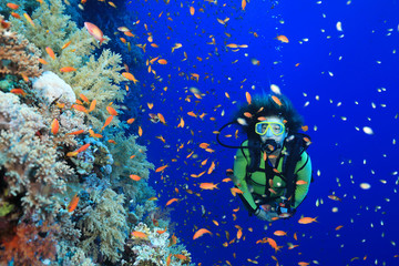 Tropical coral reef and scuba diver - obrazy, fototapety, plakaty