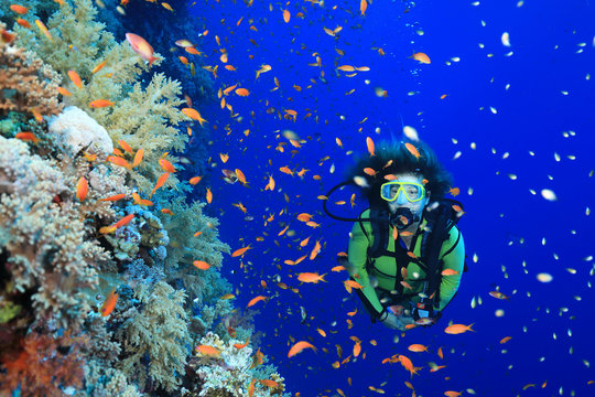 Tropical coral reef and scuba diver