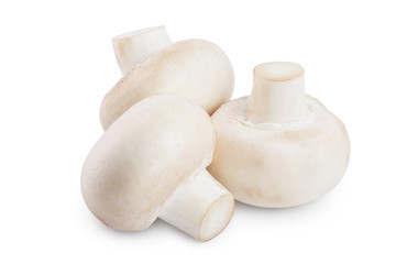 Fresh mushroom champignon isolated on white background with clipping path
