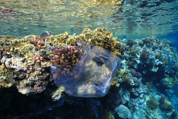 Plastic bag drift underwater
