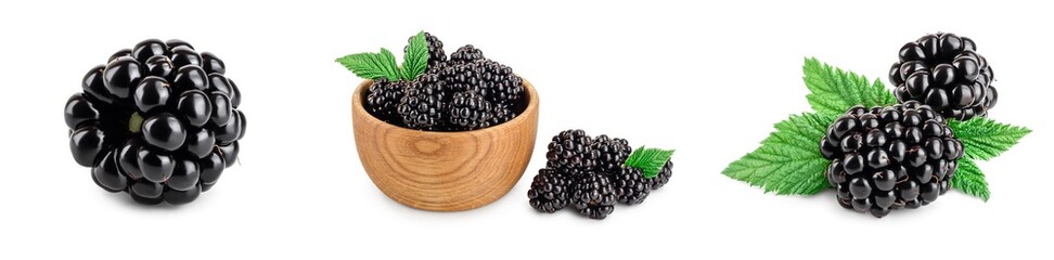 blackberry with leaf isolated on a white background closeup. Set or collection
