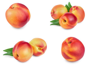 Nectarine fruit with leaf isolated on white background. Set or collection