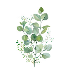 Watercolor hand painted bouquet eucalyptus and green plants. Frolar branches and leaves isolated on white background.  Greenery illustration for design, card, poster, banner and party card.