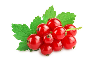Red currant berries with leaf isolated on white background