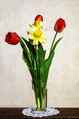 Spring bouquet of tulips and daffodils in a transparent glass vase on an old wooden table with white lace napkin.