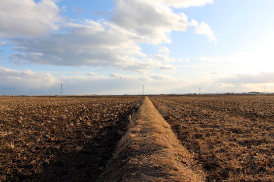 「農道」の写真素材 7,801件の無料イラスト画像 Adobe Stock