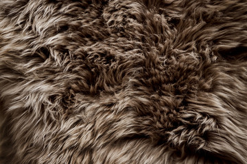 Closeup of Brown Fur Texture. Smooth Fluffy and Softness Background
