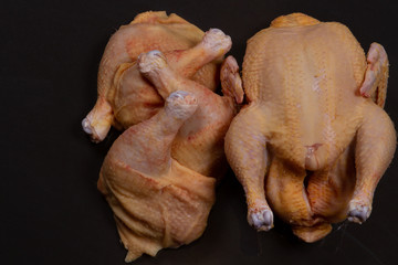 broiler chicken and its meat on a black background