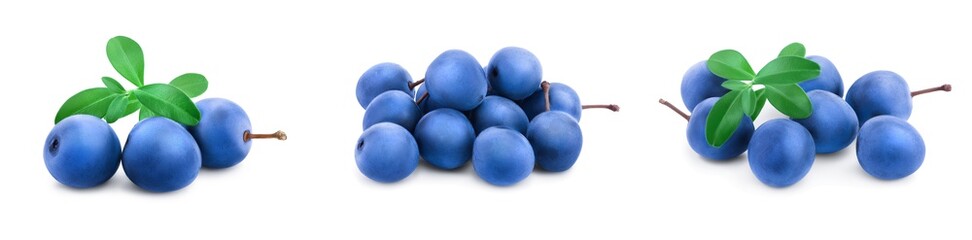 Blackthorn or Sloe berries with leaves isolated on white background. Prunus spinosa. Set or collection